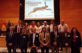 ep la fundacion artemisan celebra una jornada para analizar la situacion de la liebre en espana por