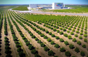 ep planta de garcia carrion