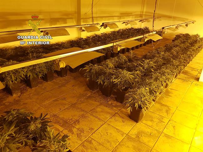 ep plantacion desmanteladaun local publicoejido