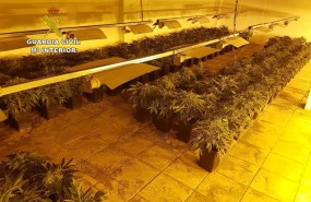 ep plantacion desmanteladaun local publicoejido