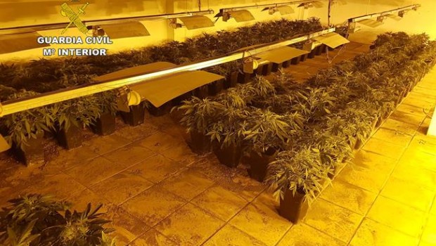 ep plantacion desmanteladaun local publicoejido