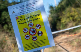 ep zona en cuarentena por la peste porcina africana en cerdanyola del valls a 1 de diciembre de 2025