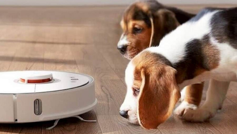 1598254361 comparativarobotaspiradorcom