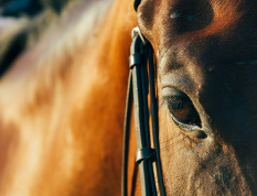 captura de pantalla 2023 09 20 a les 210316