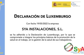declaracion luxemburgo