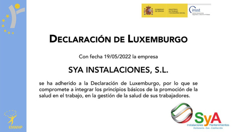 declaracion luxemburgo