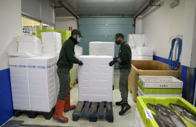 ep archivo   dos trabajadores manejan pescado en cajas de poliestireno en la lonja de a coruna