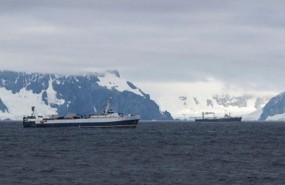 ep barcos pesquerosla antartida