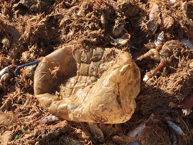 Barcos de arrastre del Mediterráneo extraen basura marina que Ecoalf hace tejido | ECOALF ep barcosarrastremediterraneo extraen basura marinaecoalftejido