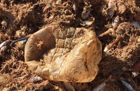 ep barcosarrastremediterraneo extraen basura marinaecoalftejido