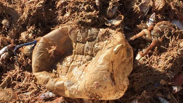 ep barcosarrastremediterraneo extraen basura marinaecoalftejido