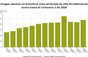 ep beneficio neto de enagas hasta el primer semestre de 2020 cnmv