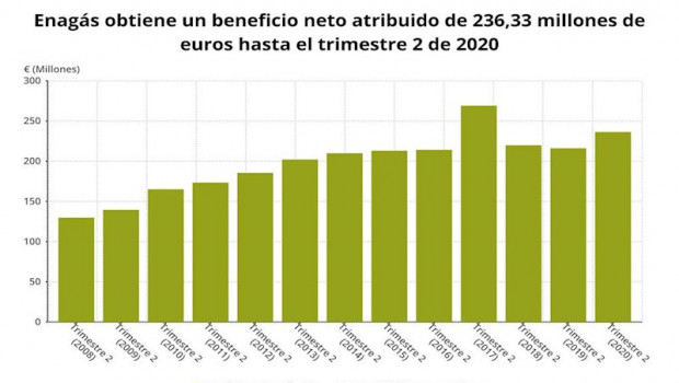 ep beneficio neto de enagas hasta el primer semestre de 2020 cnmv