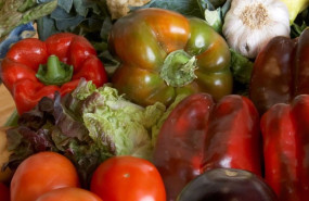 ep frutas y verduras
