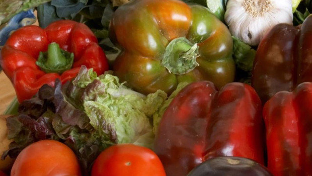 ep frutas y verduras