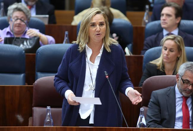 La consejera de Transportes de la Comunidad, Rosalía Gonzalo | PP ASAMBLEA ep la consejeratransportesla comunidad rosalia gonzalo