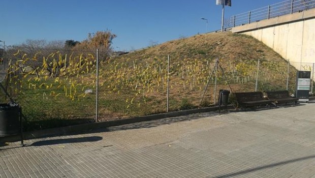 ep los lazos amarillos delantecolegiosant cugatha denunciado cs