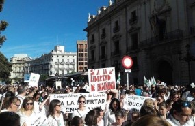 ep manifestacionfavorla educacion concertadavalncia