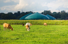 ep archivo   moeve lanza un plan para desarrollar 30 plantas de biometano en espana en 2030 con