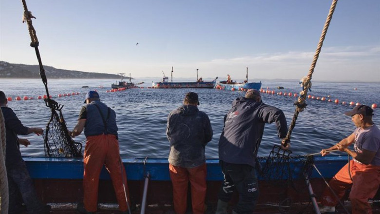 Archivo - Varios pescadores faenando | Juanma Jiménez - Europa Press - Archivo ep archivo varios pescadores faenando