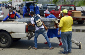 ep coronavirus en guayaquil ecuador