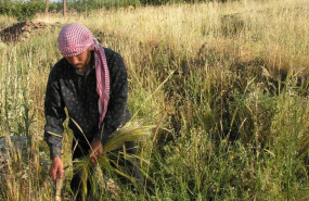 ep incrementoparo agrariojulio desvelalos trabajdores estan dejandosector segun ccoo