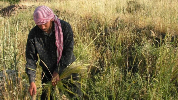ep incrementoparo agrariojulio desvelalos trabajdores estan dejandosector segun ccoo