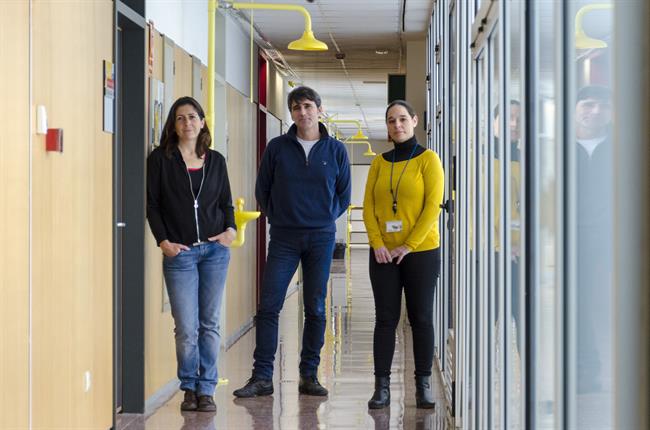 Investigadores del CIBERNED | CIBERNED ep investigadoresciberned