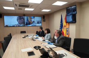 ep la subsecretaria de interio isabel goicoechea en la reunion telematica del comite estatal de