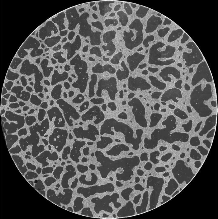 ep una estructura de red a gran escala formada in vitro por celulas cancerigenas el diametro de la