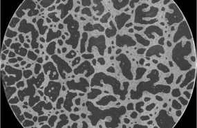 ep una estructura de red a gran escala formada in vitro por celulas cancerigenas el diametro de la