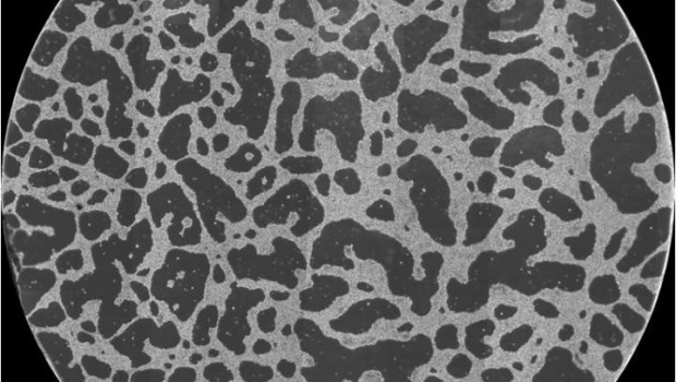 ep una estructura de red a gran escala formada in vitro por celulas cancerigenas el diametro de la