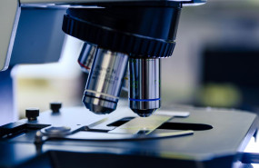 whatsapp image 2025 03 29 at 105618 whatsapp image 2025 03 29 at 105618