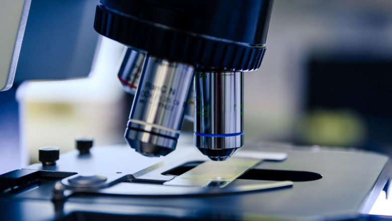 whatsapp image 2025 03 29 at 105618 