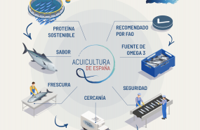 1603969100 acuicultura de espan ainfografia