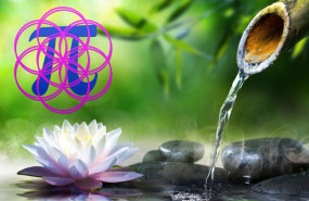 1631877984 alma de almu la meditaci n