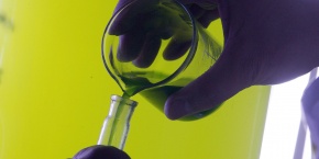 algue-biotech-marine algue-biotech-marine