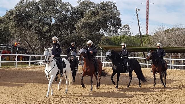 Agentes de la Unidad de Caballeria de la Policía Nacional durante una exhibición | DELEGACIÓN DEL GOBIERNO DE MADRID ep agentesla unidadcaballeriala policia nacional duranteexhibicion