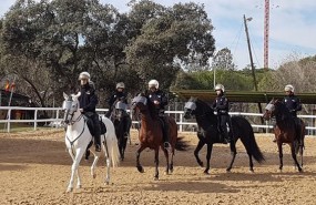 ep agentesla unidadcaballeriala policia nacional duranteexhibicion