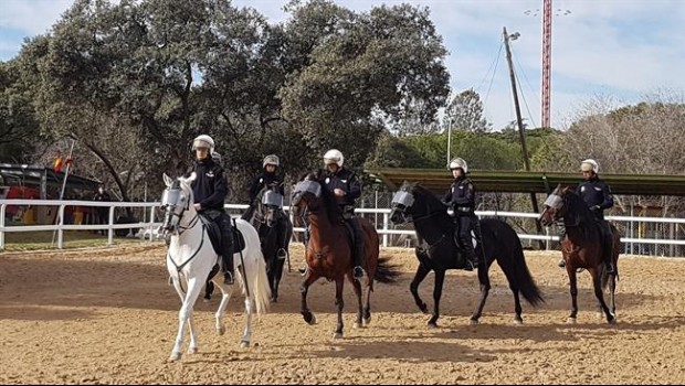 ep agentesla unidadcaballeriala policia nacional duranteexhibicion