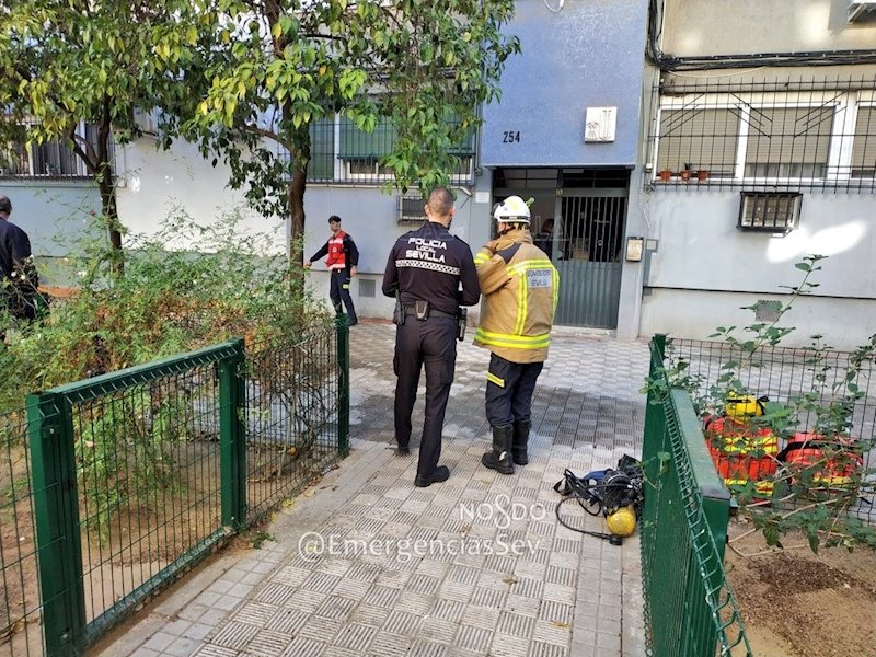 ep aledanos del bloque de viviendas incendiado