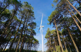 ep archivo   iberdrola obtiene la autorizacion ambiental para construir un parque eolico de 274 mw