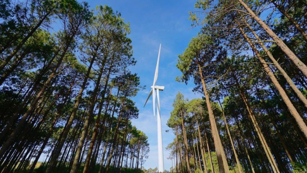 ep archivo   iberdrola obtiene la autorizacion ambiental para construir un parque eolico de 274 mw