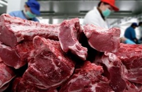 ep carne brasilena