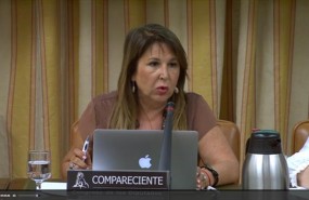 ep comparecenciala presidentaacai francisca garcia encongreso