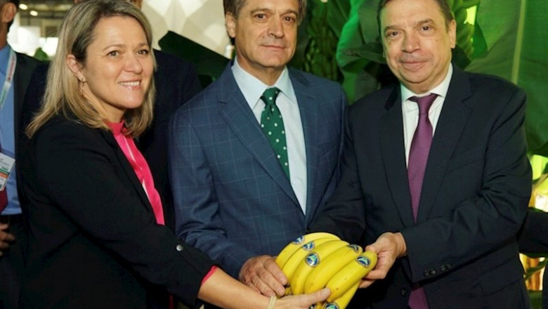 ep comunicado platano de canarias ofrecera un nuevo etiquetado 100 compostable y 100 biodegradable a