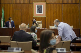 ep constitucion e la comision parlamentaria del covid-19