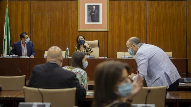 ep constitucion e la comision parlamentaria del covid-19