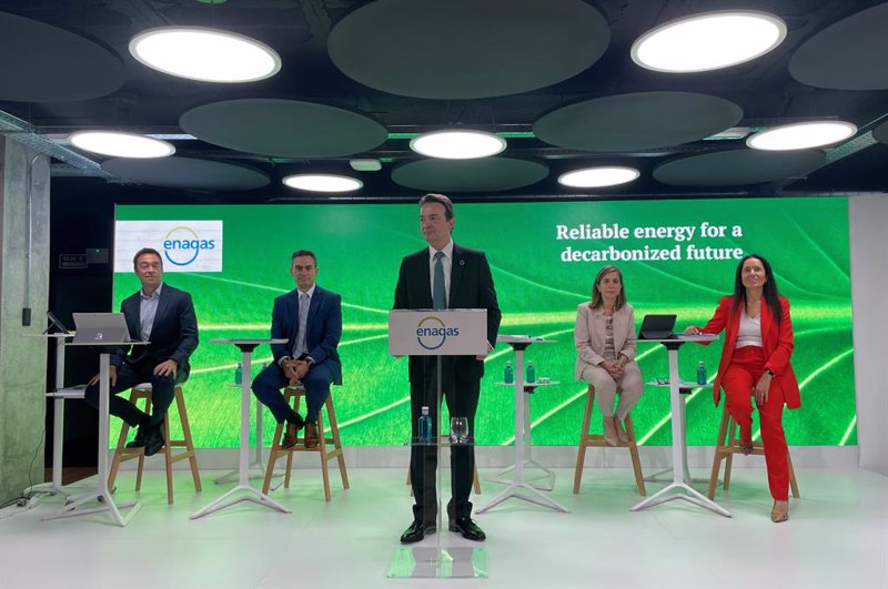 Enagás gana un 1% más hasta junio y Amancio Ortega entra en su negocio de renovables