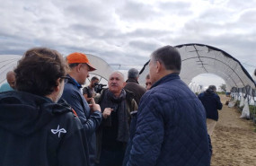 ep el secretario general de ugt pepe alvarez durante su visita a una finca de frutos rojos en palos